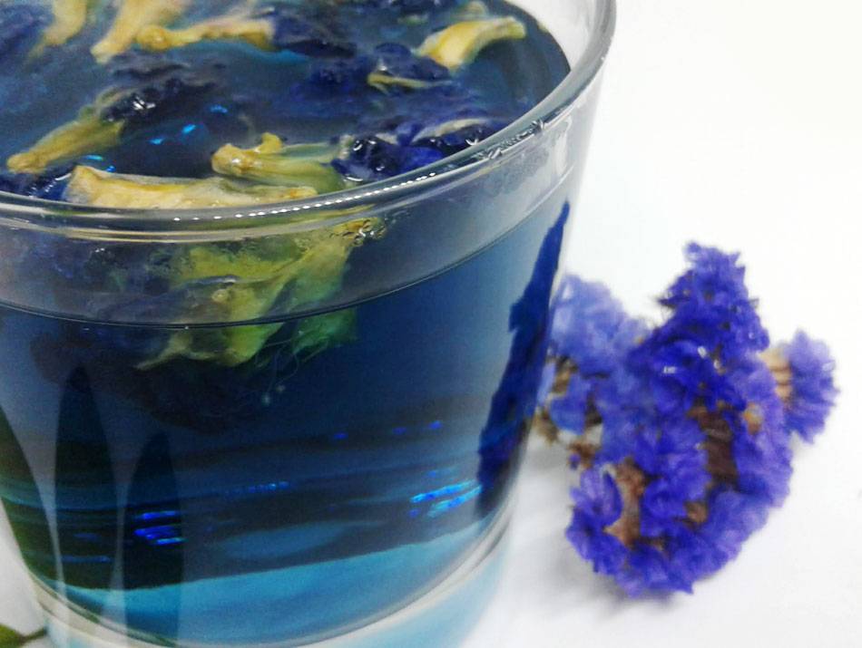 Синий чай тайский - способы заварки, применение при похудении, состав и вкусовые качества