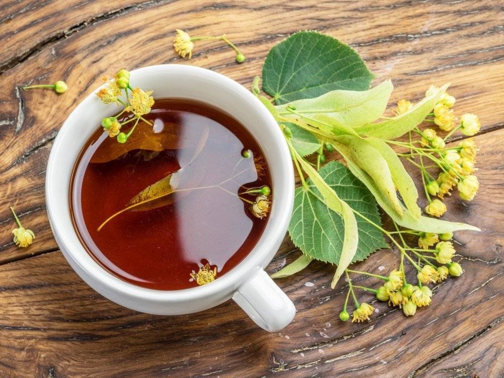 Чай из шиповника: польза и вред, как правильно заваривать, рецепты