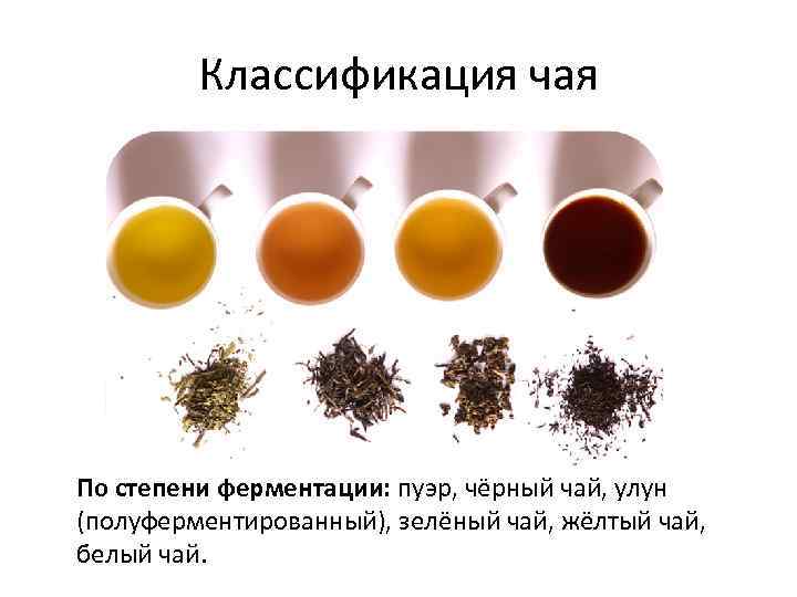 Какой чай полезнее черный или зеленый: от чего завист польза чая