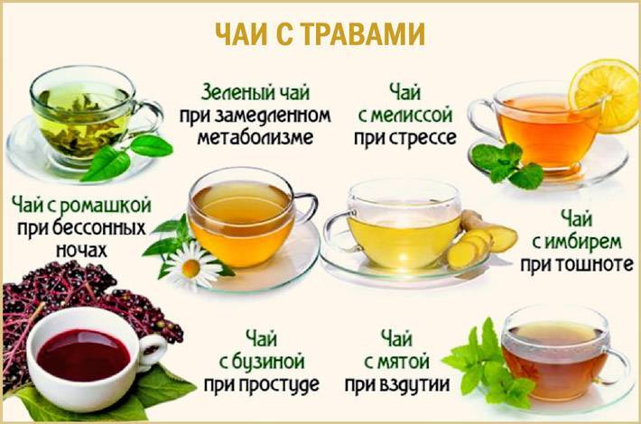 Ромашковый чай — польза и вред чая из ромашки, противопоказания, как приготовить