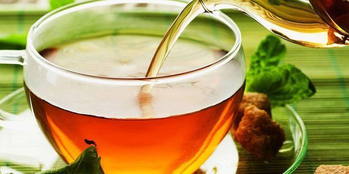 Полный обзор 10 полезных свойств курильского чая и противопоказаний