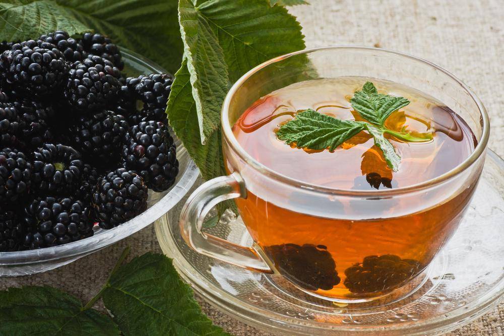 Рецепты чая с ягодами и листьями ежевики и его свойства