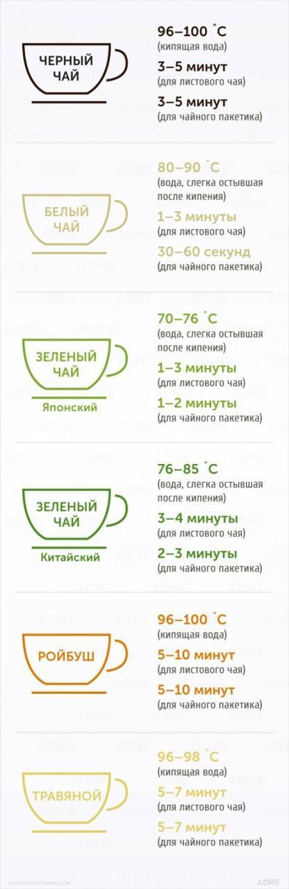 Как правильно заваривать зеленый чай: инструкция