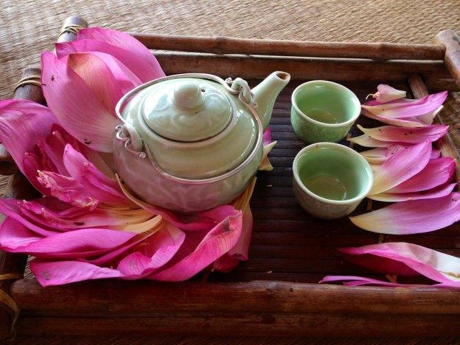 Чай с лотосом — польза, вред, как заварить, свойства