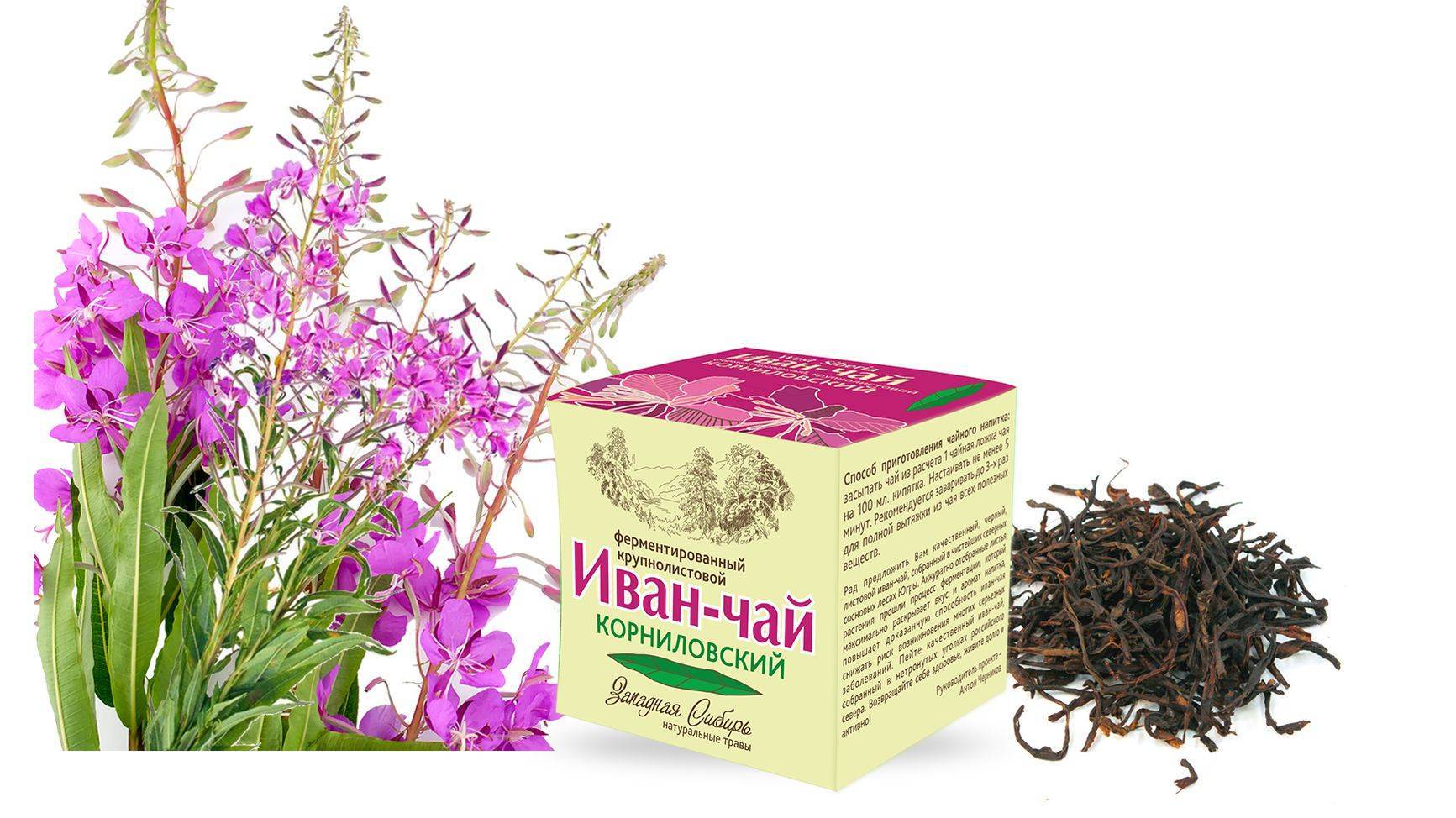 Полезен ли мужской иван-чай для женского организма
