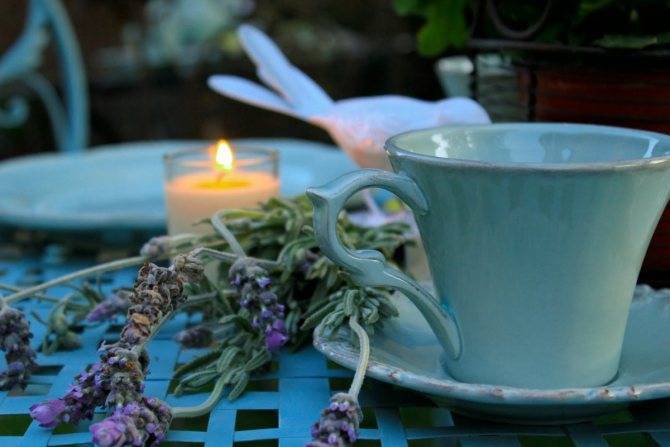 Чай с лавандой — полезных свойств напитка не счесть
