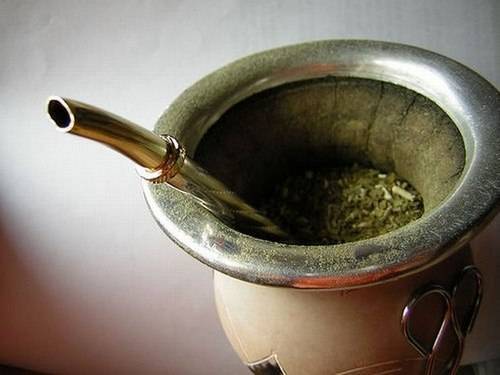 Свойства чая катуаба – природного афродизиака из Бразилии