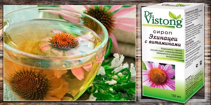 Чай эхинацеи – чудесный целебный эликсир для иммунитета