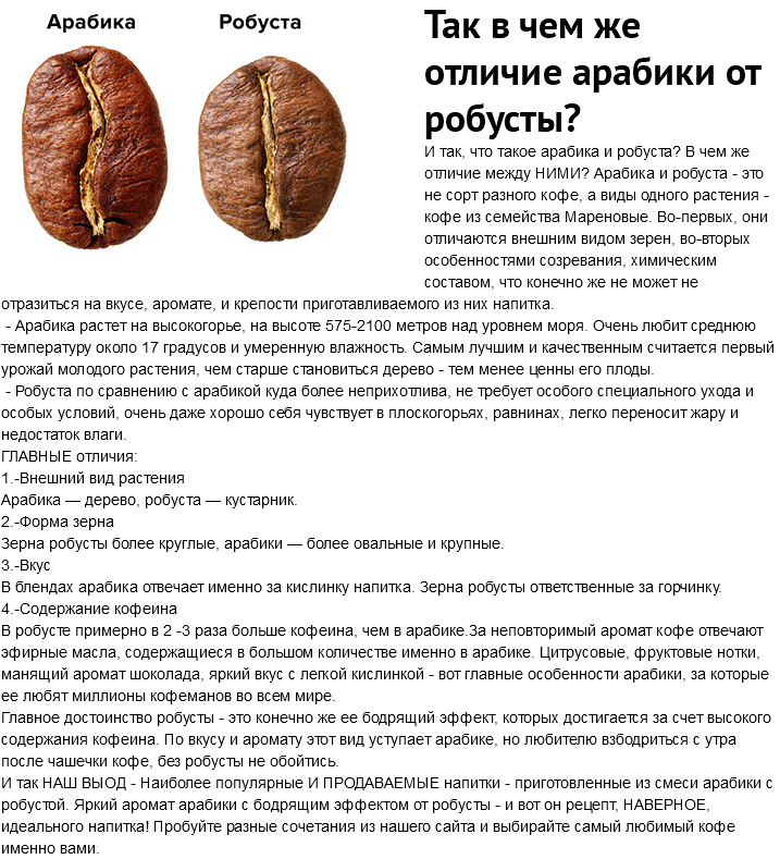 Кофе арабика: все о составе зерна, сортах и вкусах