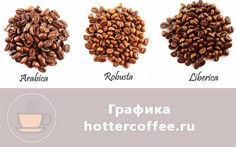 Характеристика кофе и кофепродуктов