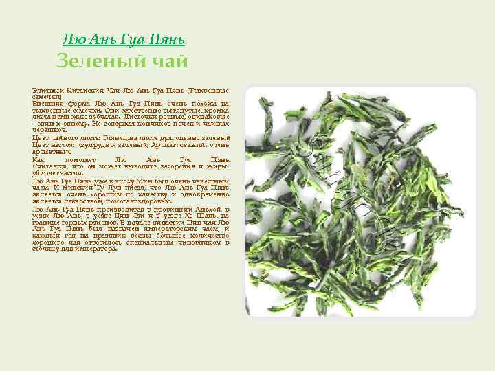 Чай лю ань гуа пянь – свойства, заваривание, описание вкуса