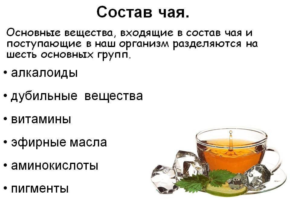 Химический состав чая - какие полезные вещества содержатся в чае