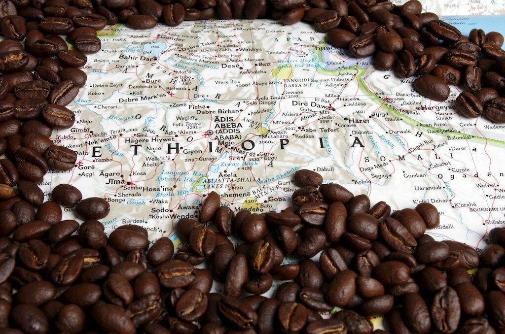 Как производят кофе. история кофе