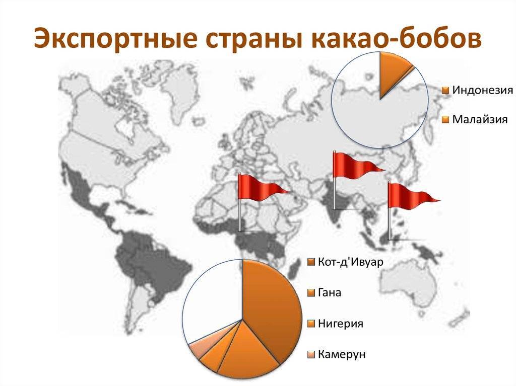 Обзор производителей кофе по странам: главные места выращивания, объёмы, рейтинг компаний