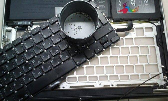 Залитый ноутбук: пролил на клавиатуру ноутбука чай, воду или кофе - что делать?