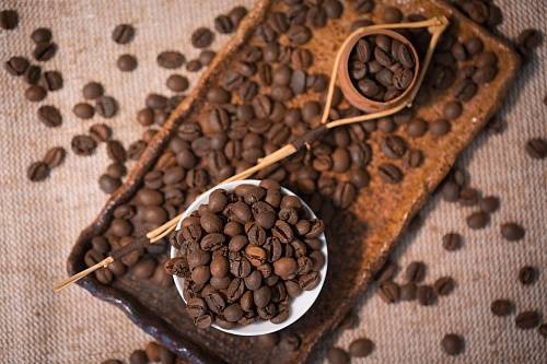 Кофе из эфиопии – сорта, разновидности. что влияет на качество зерен – почва, вода, климат