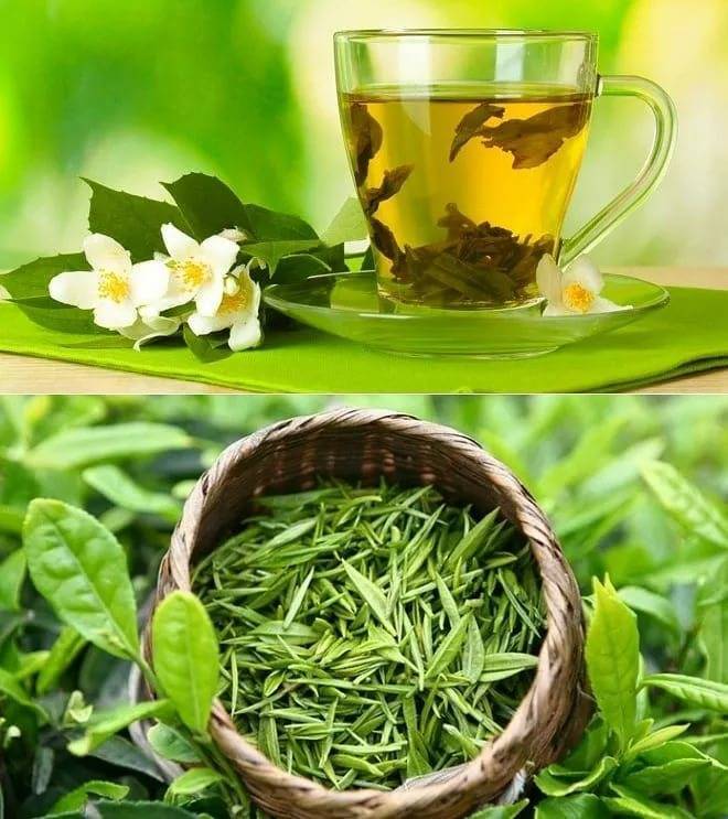 Чем полезен зеленый чай с жасмином?