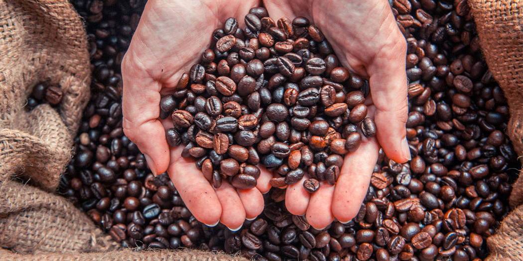 Кофе в зернах – рейтинг лучших марок и сортов: топ-13