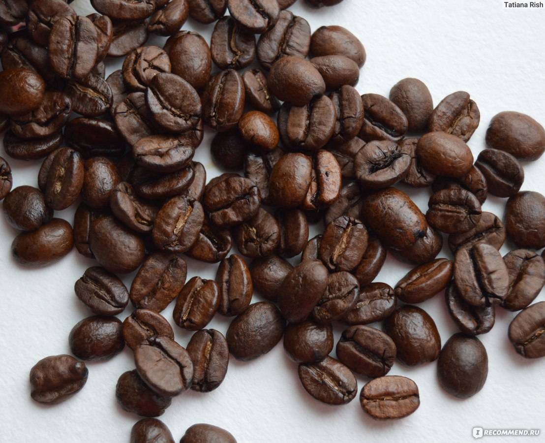 Кофе арабика - особенности сорта, история, преимущества