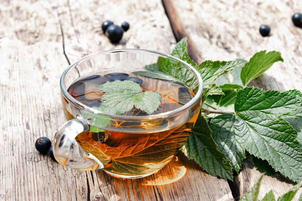 Чай из смородины: польза и вред, рецепты из красной, черной, с иван-чаем, мятой
