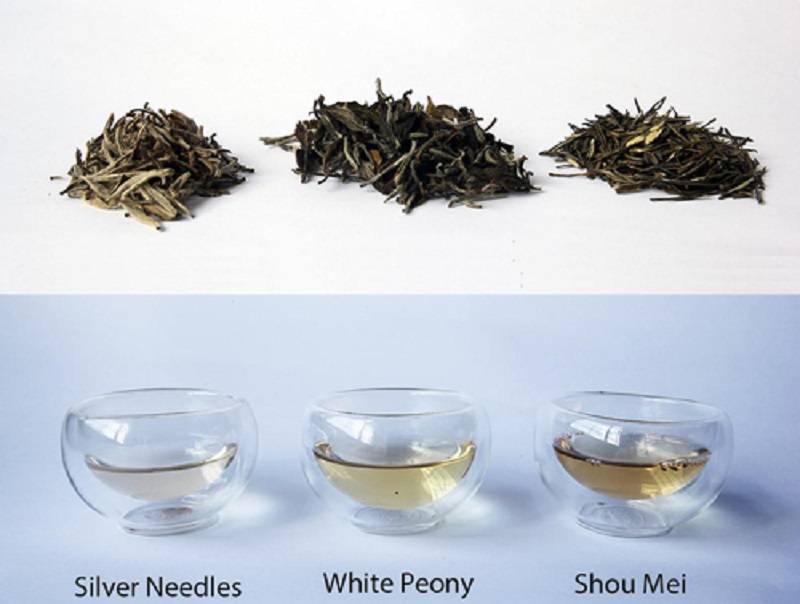 Белый китайский чай. вкусовые особенности, сорта, полезные свойства, состав. как заваривать и хранить