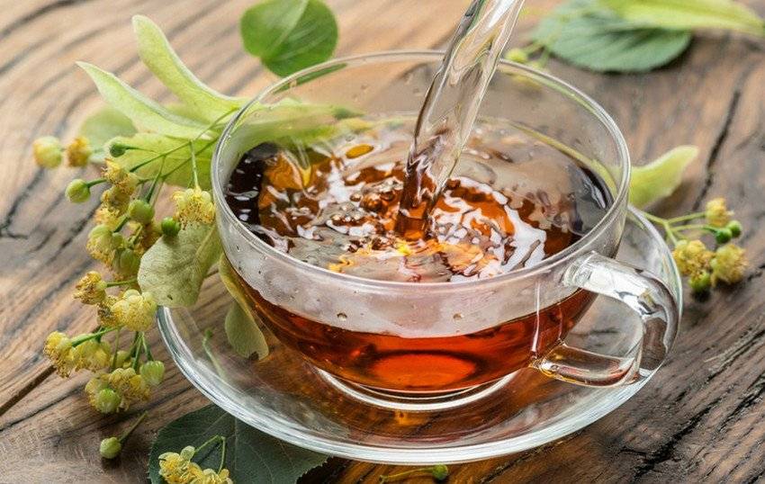 Липовый чай - полезные свойства и противопоказания