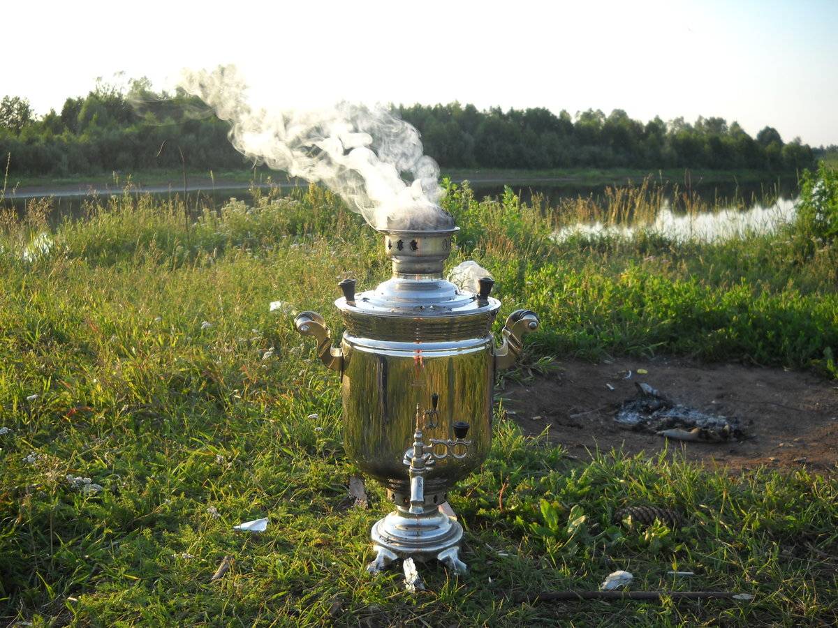 История появления чая от первых плантаций до современных производств (+9 интересных фактов)