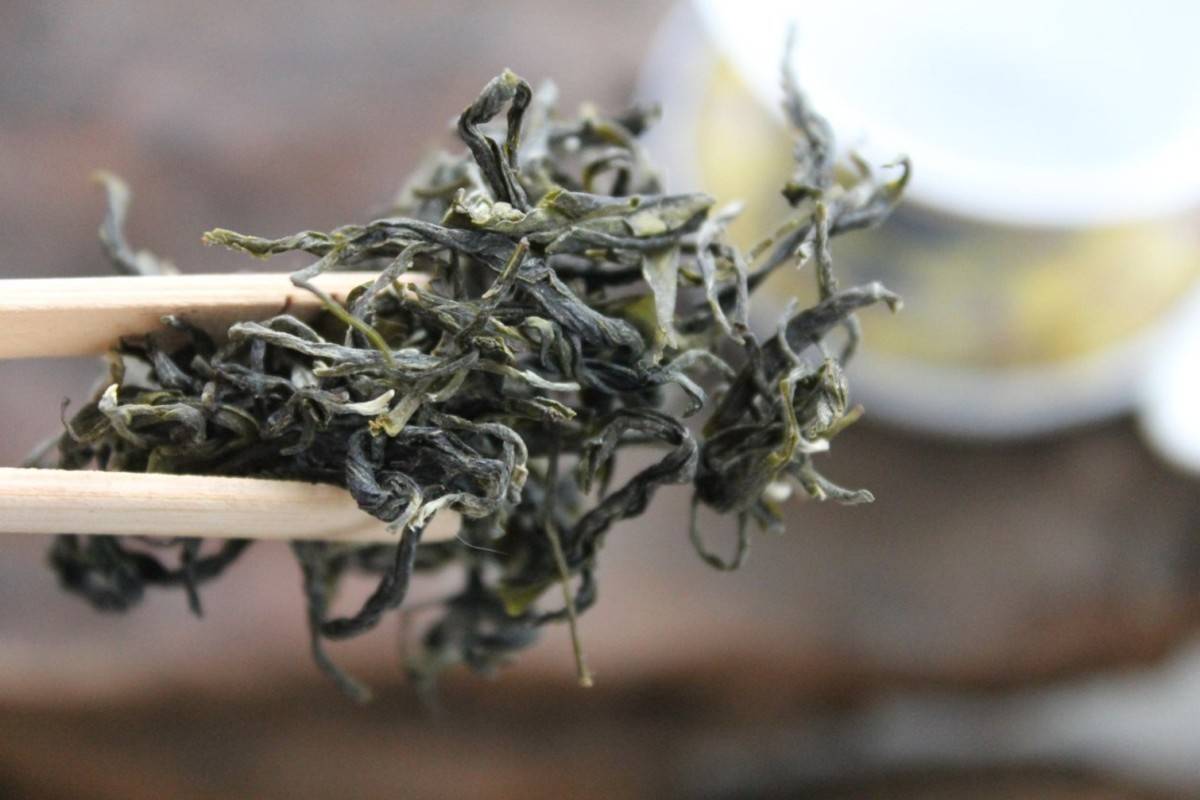 5 отличий ферментированного чая от заварки, не прошедшей ферментацию