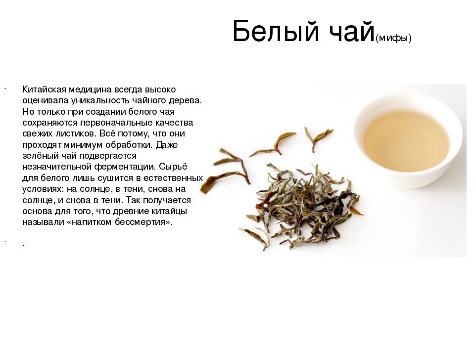 Белый чай - что это такое, польза и вред