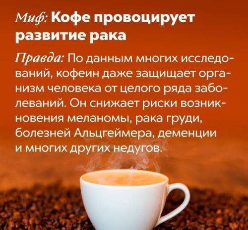 Интересные факты о кофе