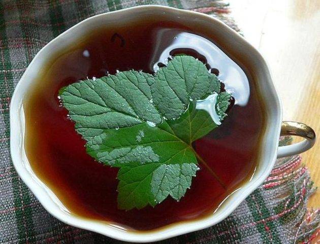 Чай из шиповника: как приготовить полезный напиток