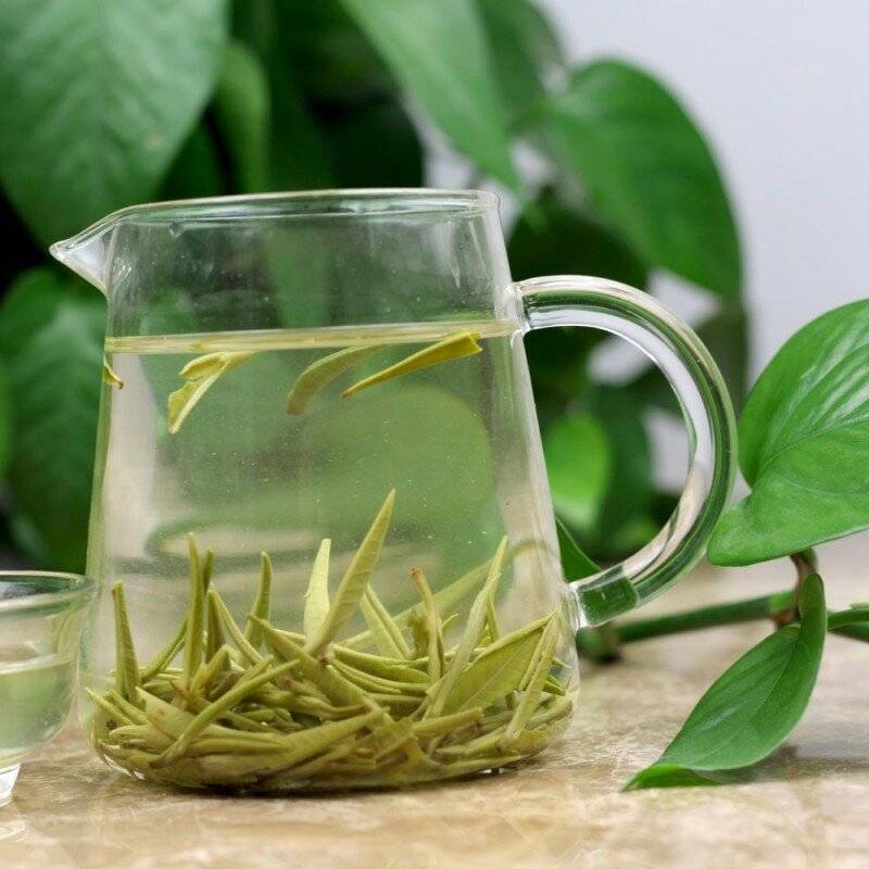 10 полезных свойств чая с мятой - здоровое питание - управление роспотребнадзора по республике марий эл