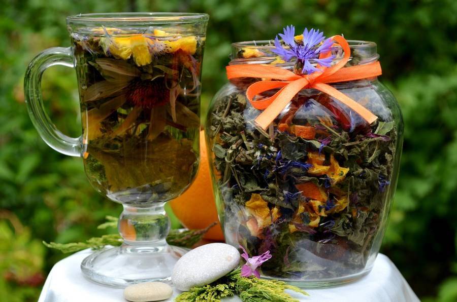 Тайны фитотерапии: травяной душистый чай и его волшебные свойства