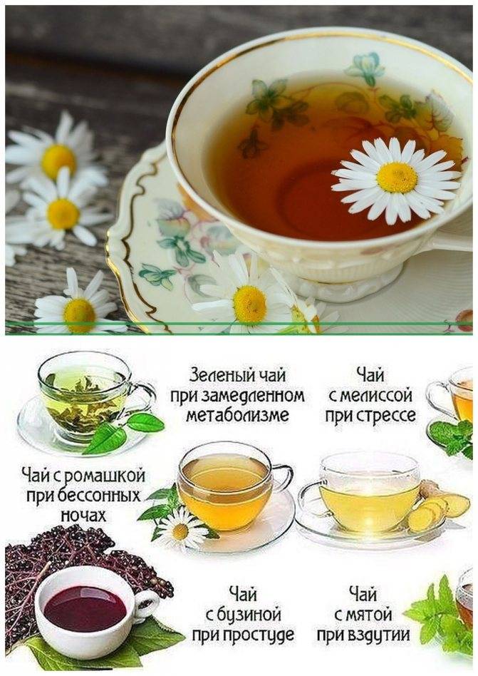 Цветочный чай — древние китайские рецепты не забыты