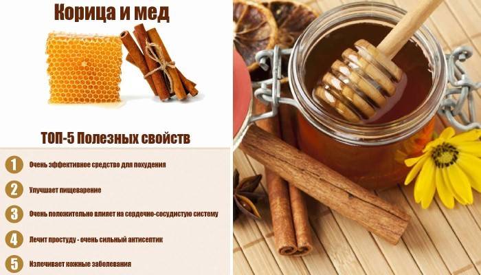 Корица с медом для похудения: рецепт приготовления напитка