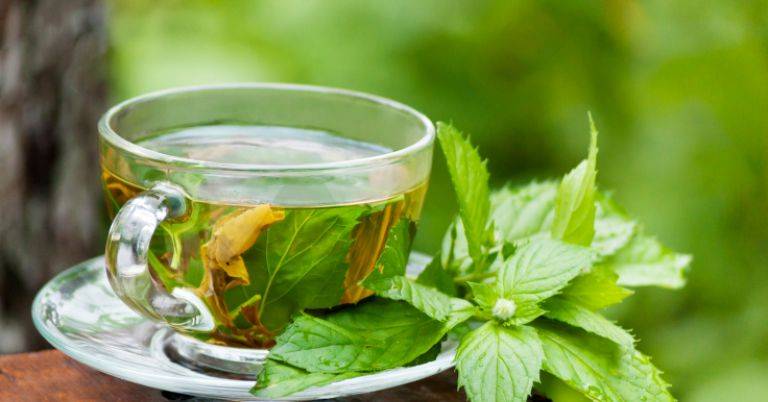 5 аргументов в пользу чая с мятой для здоровья женщины (+рецепты)