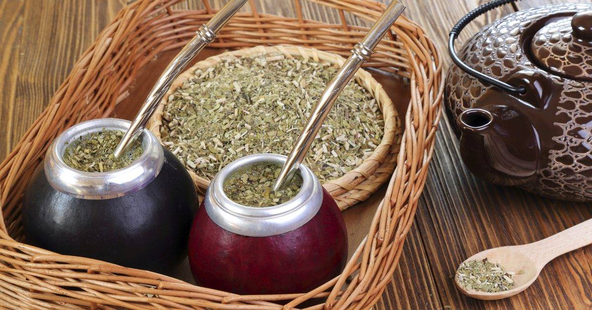 Чай матэ — неповторимый вкус и неоценимая польза в одном напитке