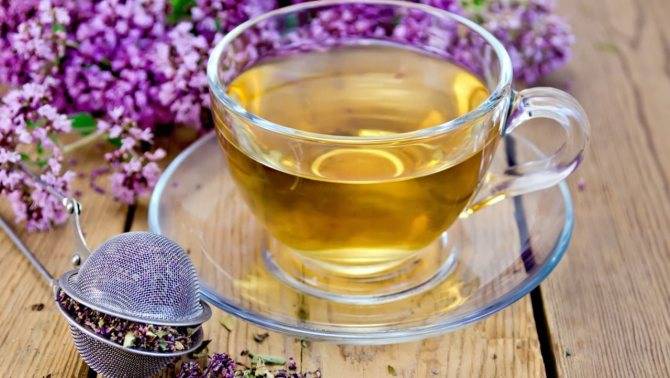 Польза и вред чая с чабрецом (+7 рецептов)