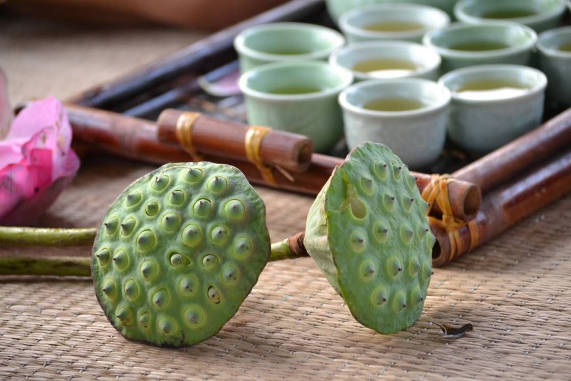 Чем отличаются чаи с лотосом из Вьетнама и Китая?