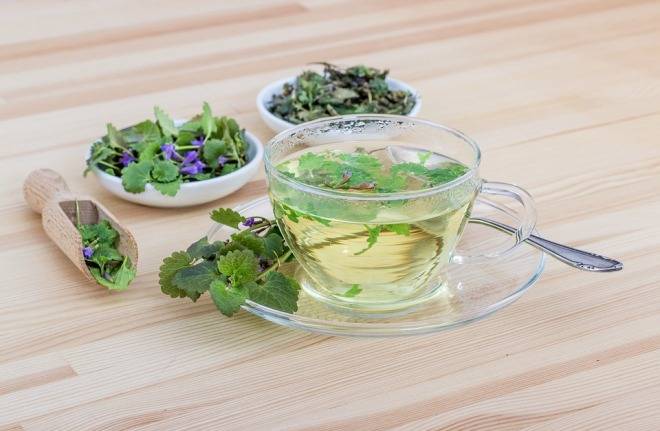 9 интересных рецептов чая из крапивы для поддержания здоровья