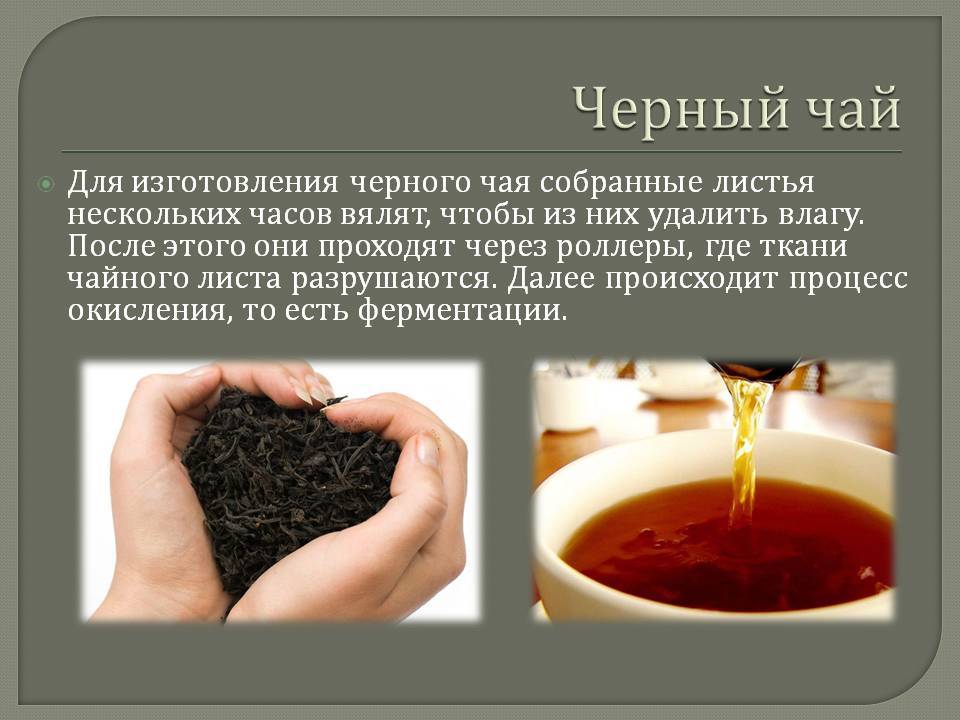 Черный чай польза и вред для здоровья человека