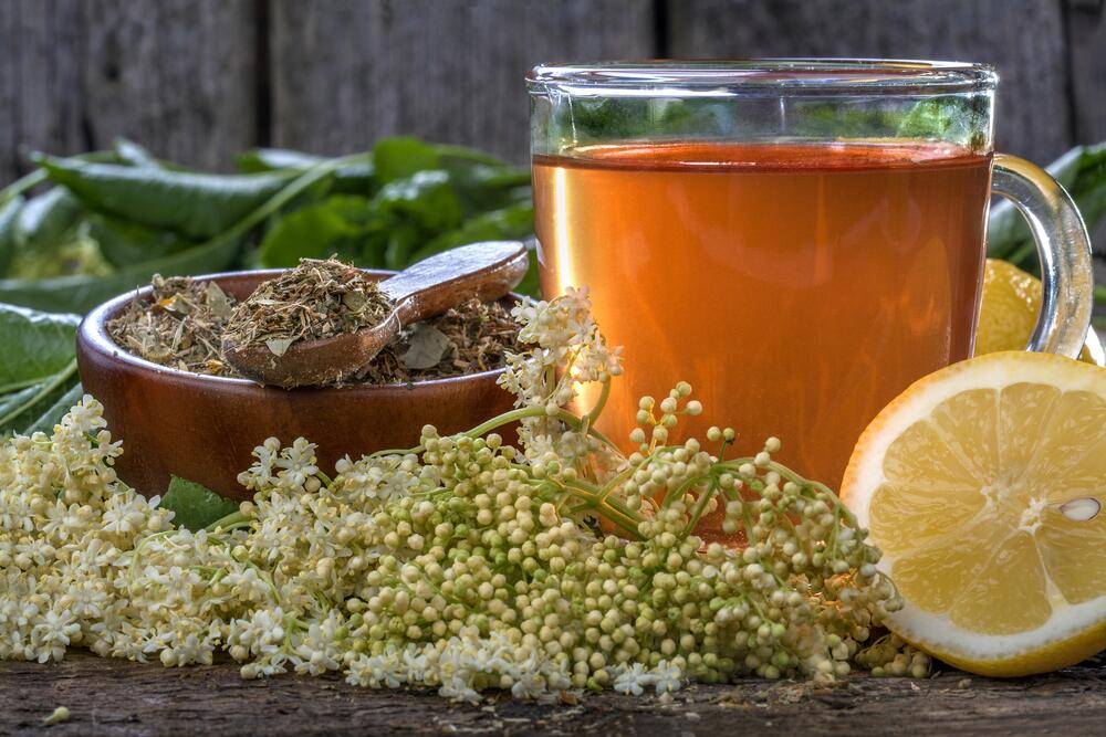 Топ-20 лучших травяных чаев для здоровья: обзор и особенности