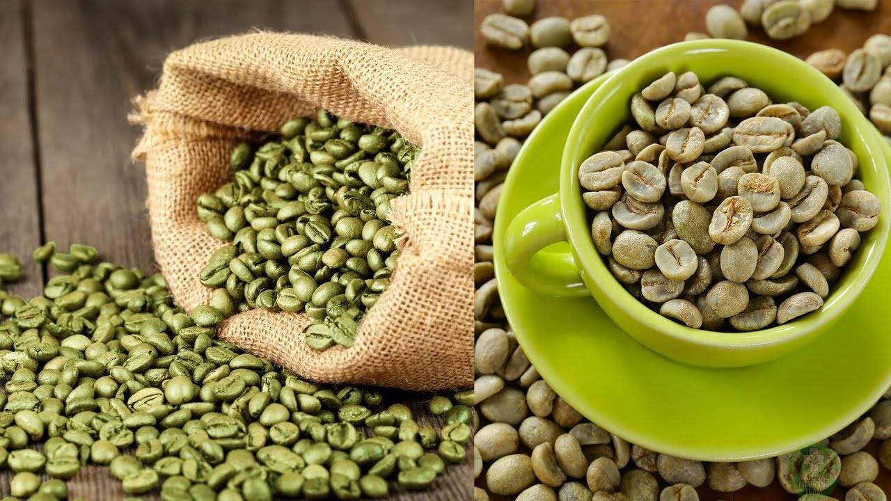 Зеленый кофе: польза, вред и противопоказания | food and health