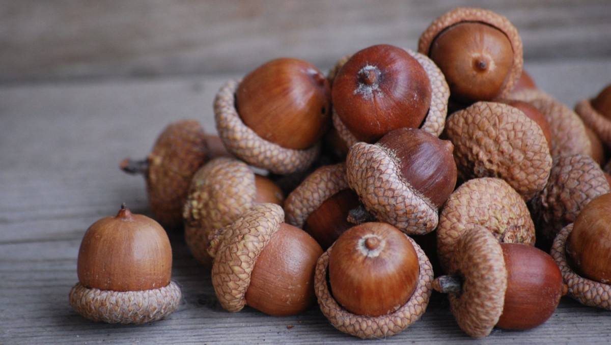 Как приготовить традиционный кофе по-датски