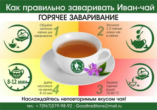 Топ – 7 популярных способов заваривания иван-чая