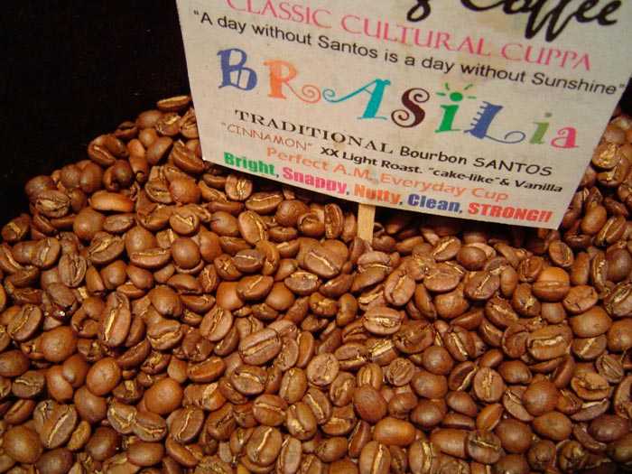 Бразильский кофе:  в зернах, сорта, сантос, фото.  лучший бразильский кофе