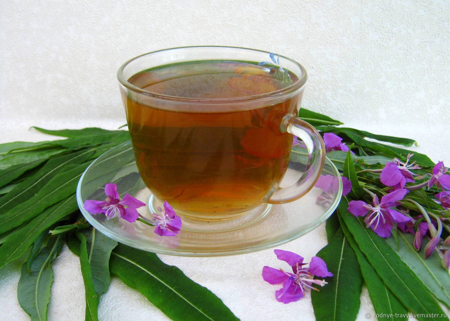 Иван-чай - как собирать и сушить, способы правильного приготовления на зиму и употребления