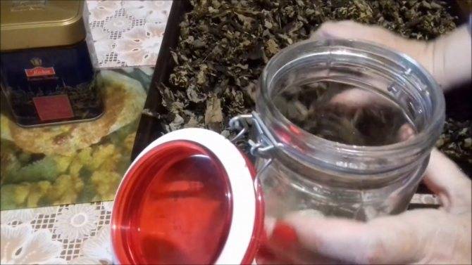 Чай из листьев вишни: польза и вред ферментированного, когда лучше собирать, как сделать, заготовить, приготовить своими руками