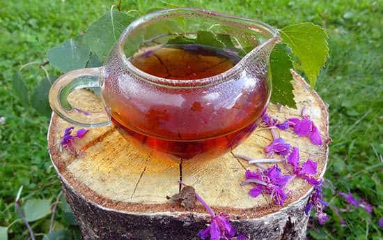Полезен ли мужской Иван-чай для женского организма