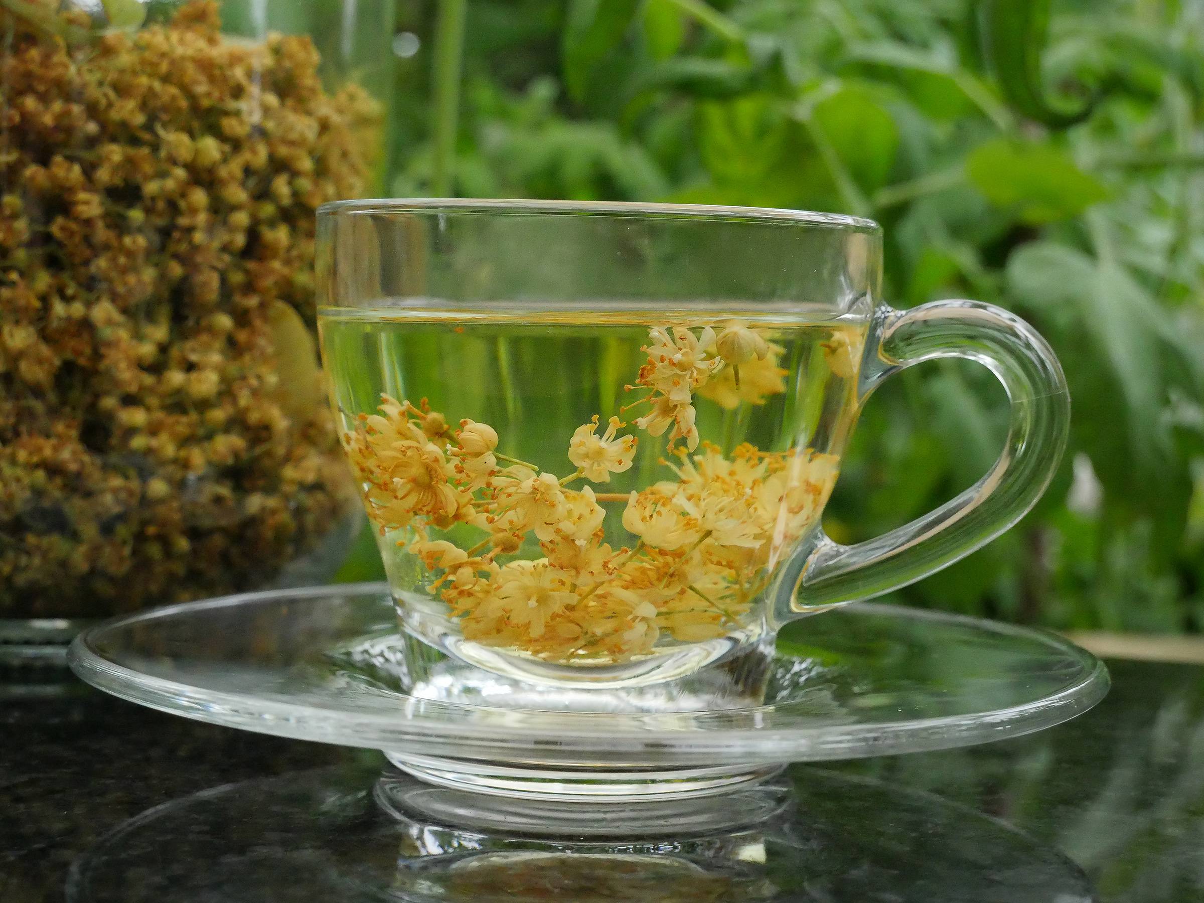 Липовый чай: рецепты, рекомендации и противопоказания